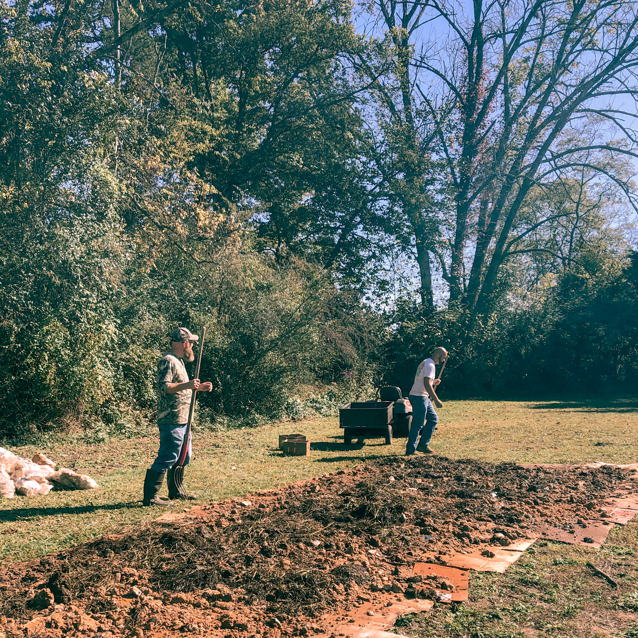 Start and Maintain a Community Garden
