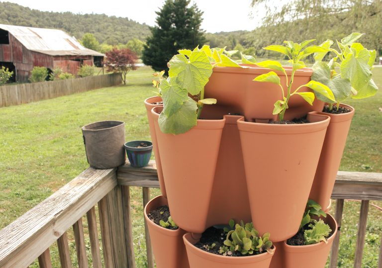 greenstalk vertical garden with plants growing on deck