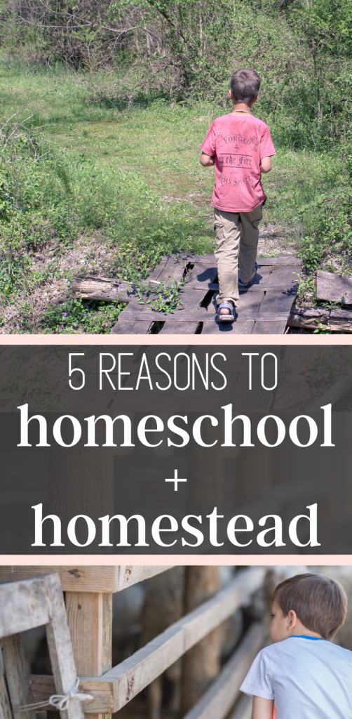 5 reasons to homeschool and homestead
