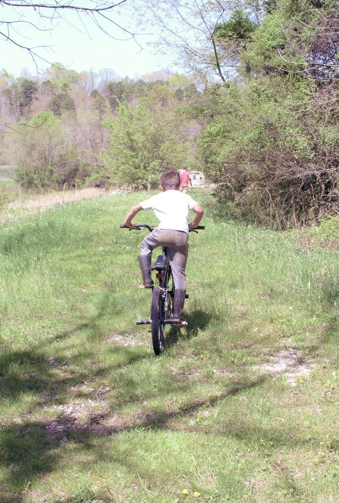 male children riding bikes in a grassy field