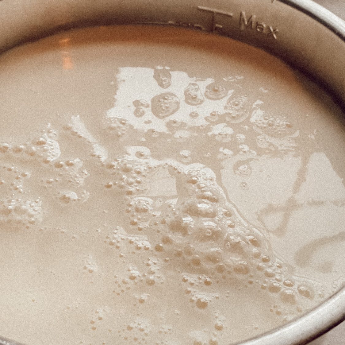 raw milk for making yogurt in instant pot insert
