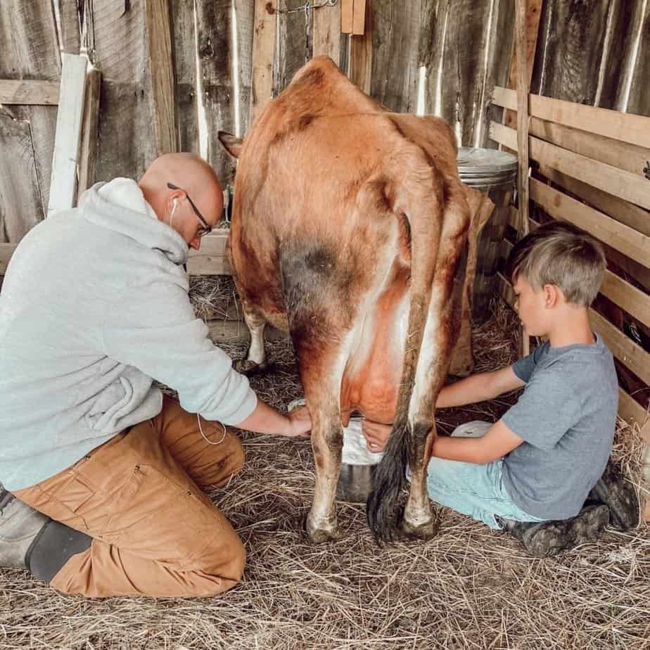 father teaching son how to milk a cow by hand
