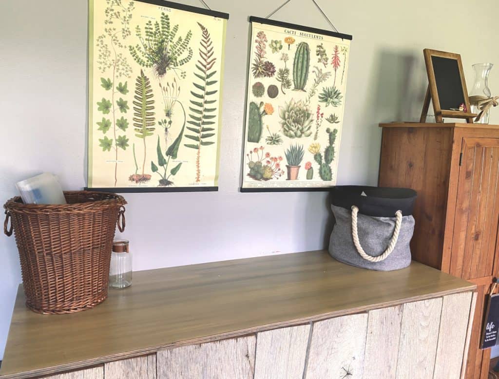 table with eco friendly baskets and vintage succulent posters above