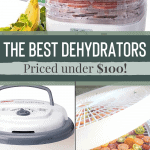 best dehydrators priced under $100