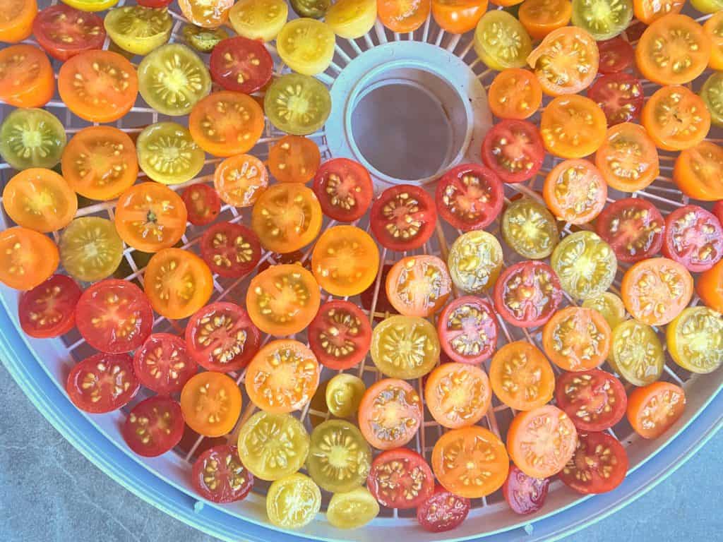 sliced tomatoes inside best dehydrator under $100