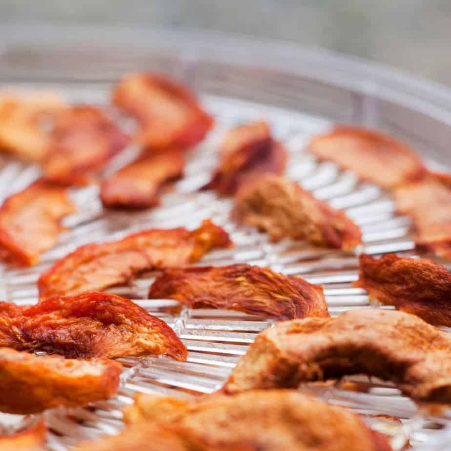 dehydrated fruit inside dehydrator