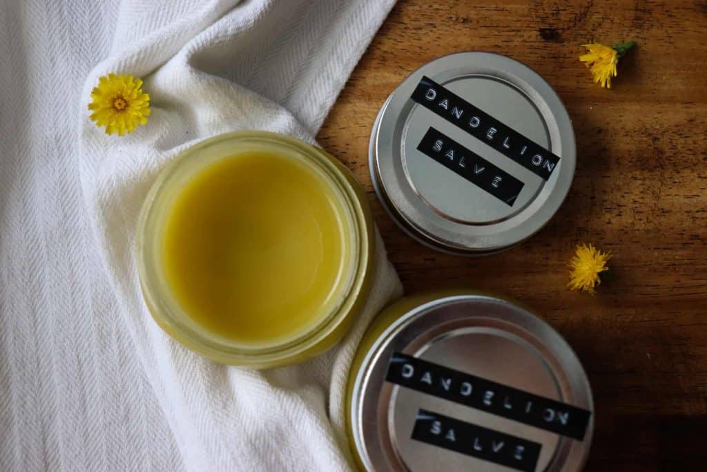 homemade dandelion salve in jars surrounded by dandelion flowers