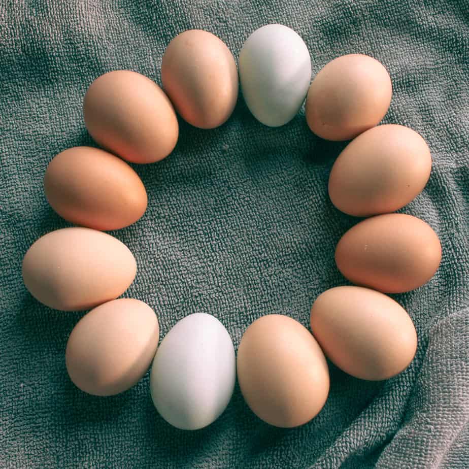 How To Stop Chickens From Pecking Holes in Their Eggs