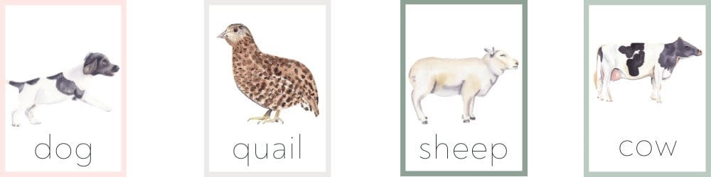 farm animal flash cards vertical sample image