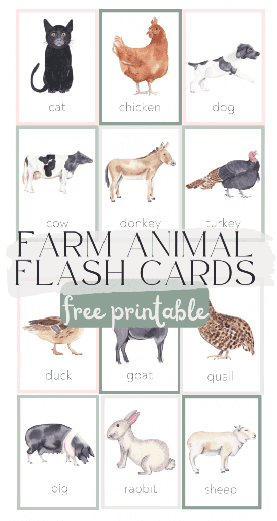 farm animal flash cards free printable pin image
