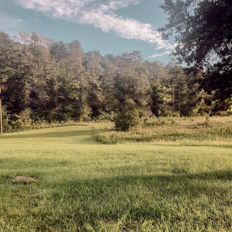 woods and pasture backdrop for songs about humility