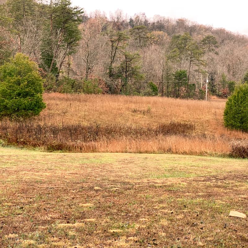 christian homesteading community property