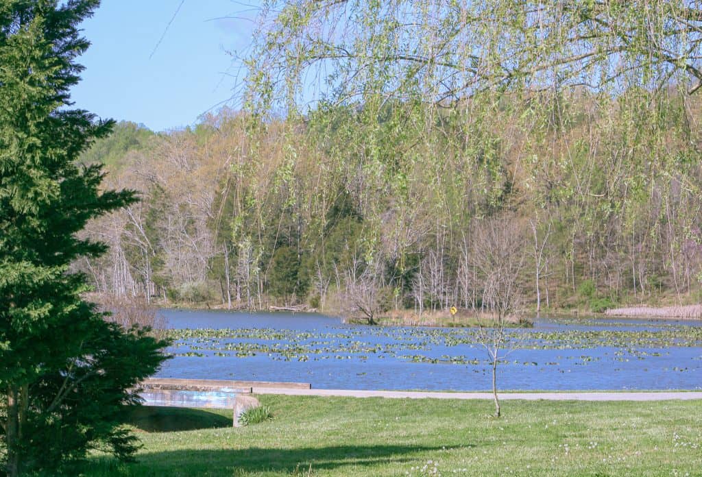 private lake on christian homesteading property