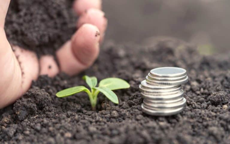 77 Ways To Make Money Homesteading